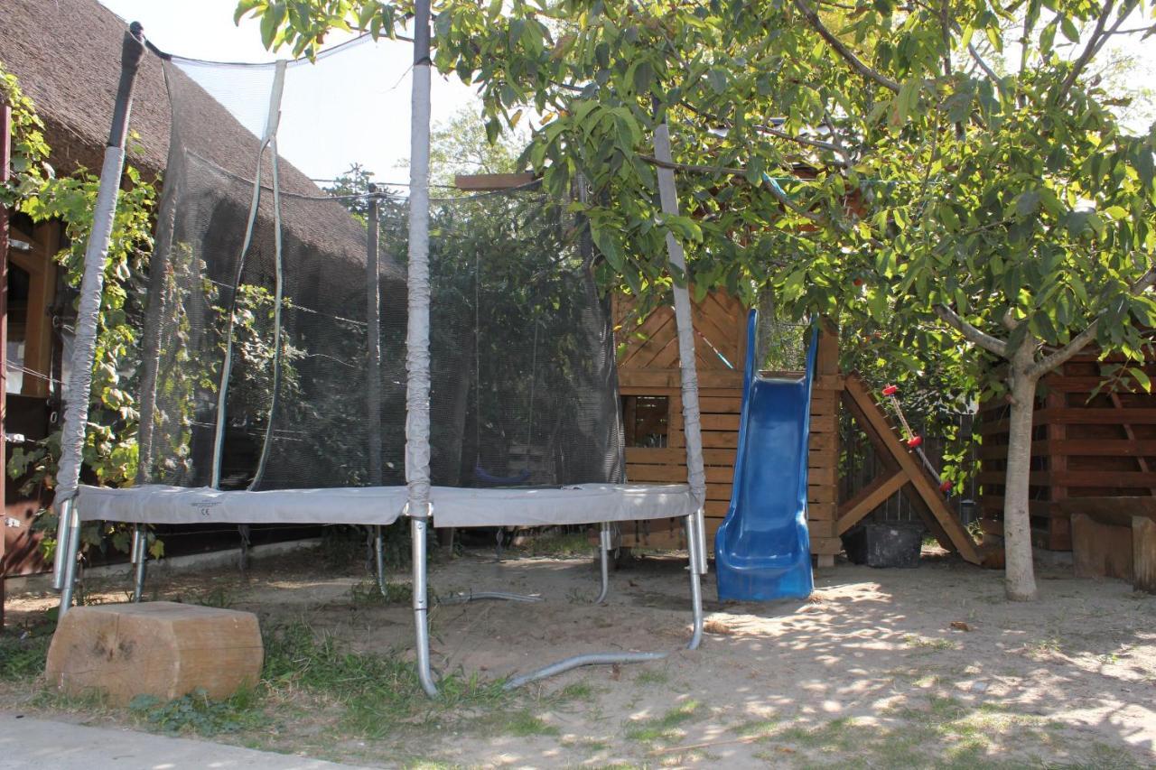 Hotel Cerdacul Cu Stuf Sfântu Gheorghe Esterno foto