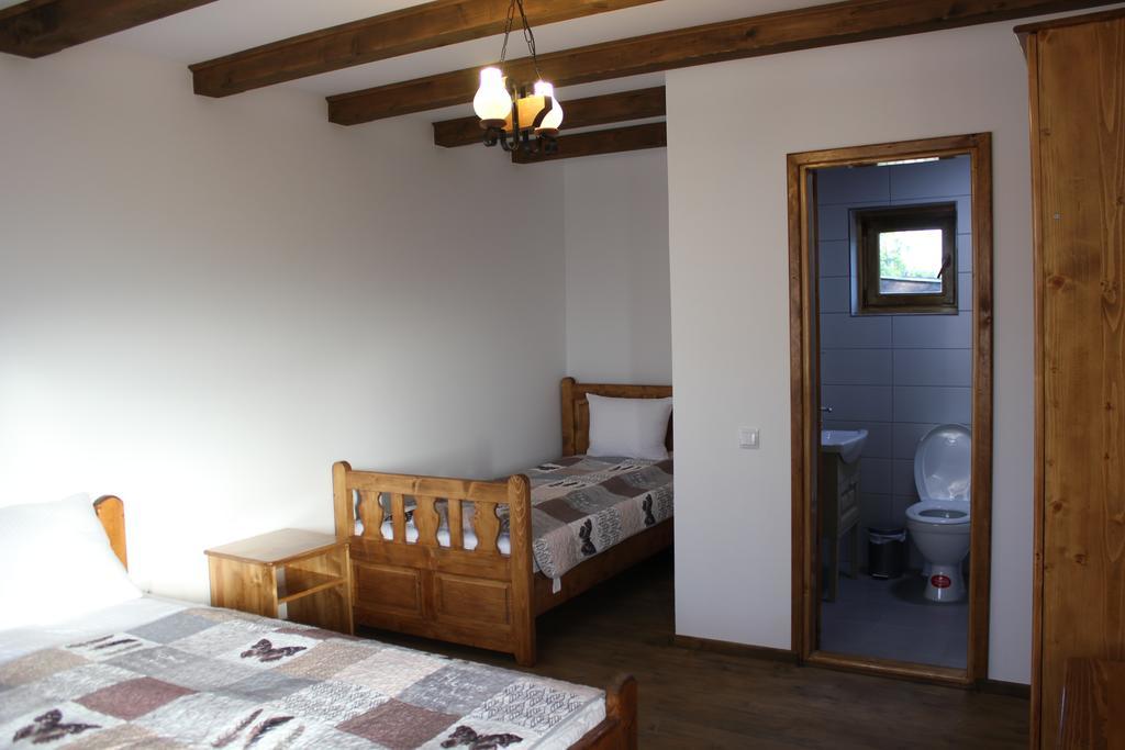 Hotel Cerdacul Cu Stuf Sfântu Gheorghe Esterno foto